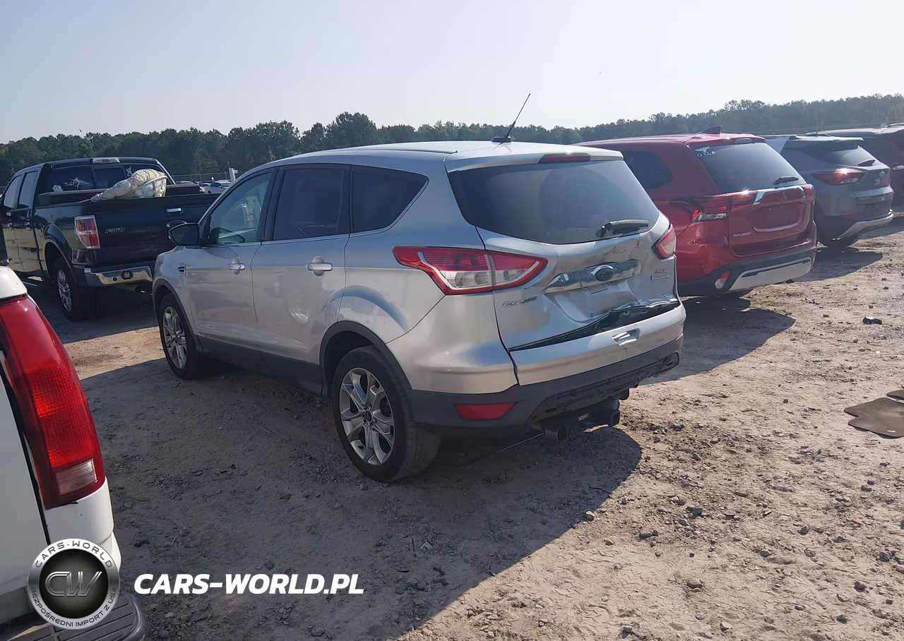 2013 Ford Escape Sel VIN:1FMCU0H99DUC47340 - 3