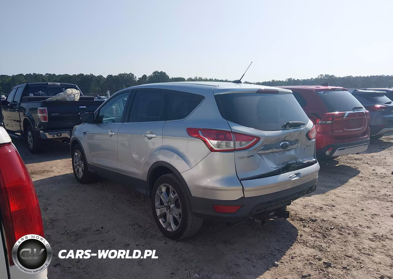 2013 Ford Escape Sel VIN:1FMCU0H99DUC47340 - 6
