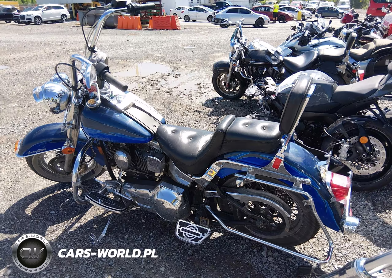 1994 Harley-Davidson Flstc VIN:1HD1BJL46RY015232 - 3