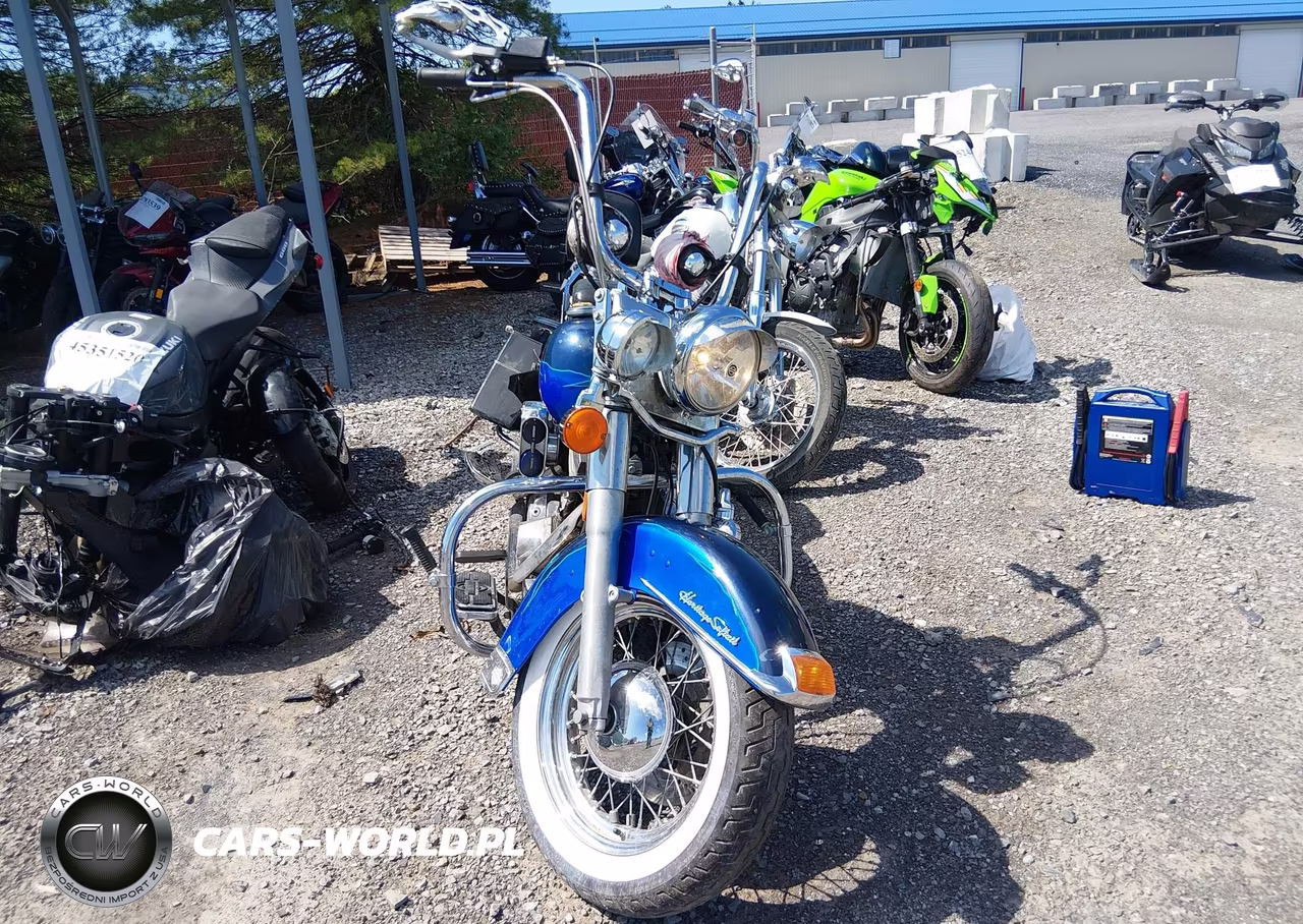 1994 Harley-Davidson Flstc VIN:1HD1BJL46RY015232 - 5