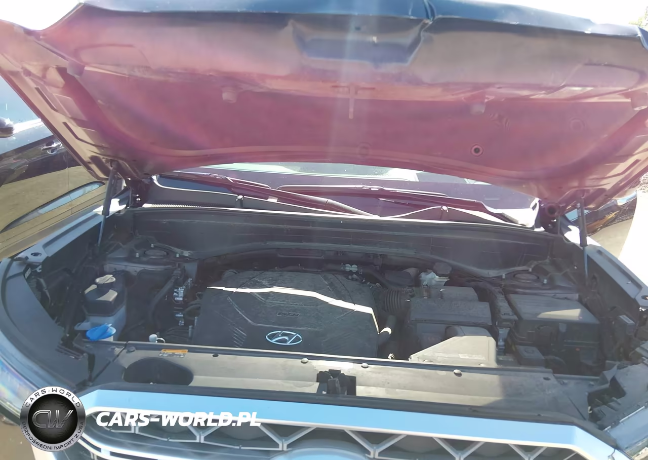 2020 Hyundai Palisade Limited VIN:KM8R5DHE5LU162750 - 10