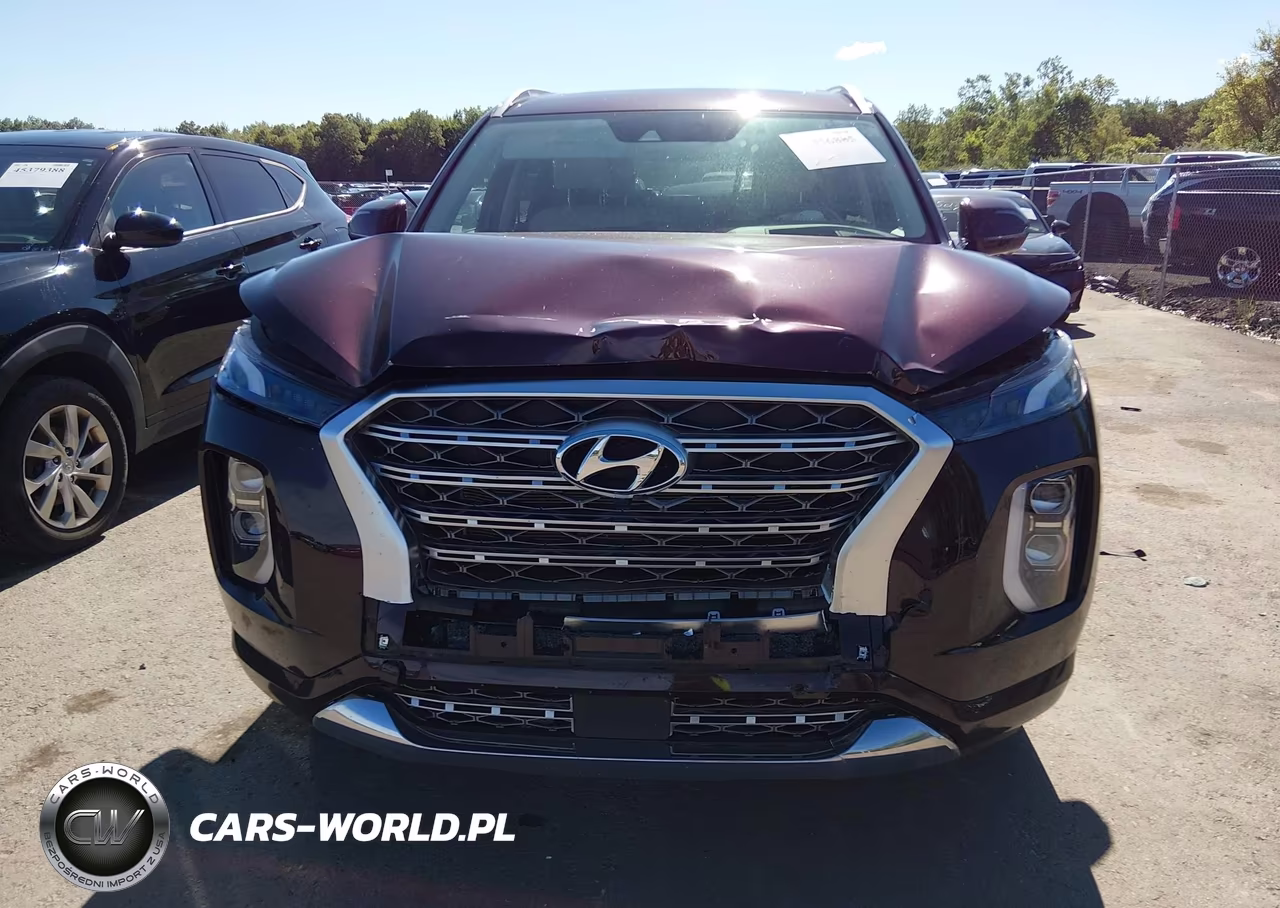 2020 Hyundai Palisade Limited VIN:KM8R5DHE5LU162750 - 12