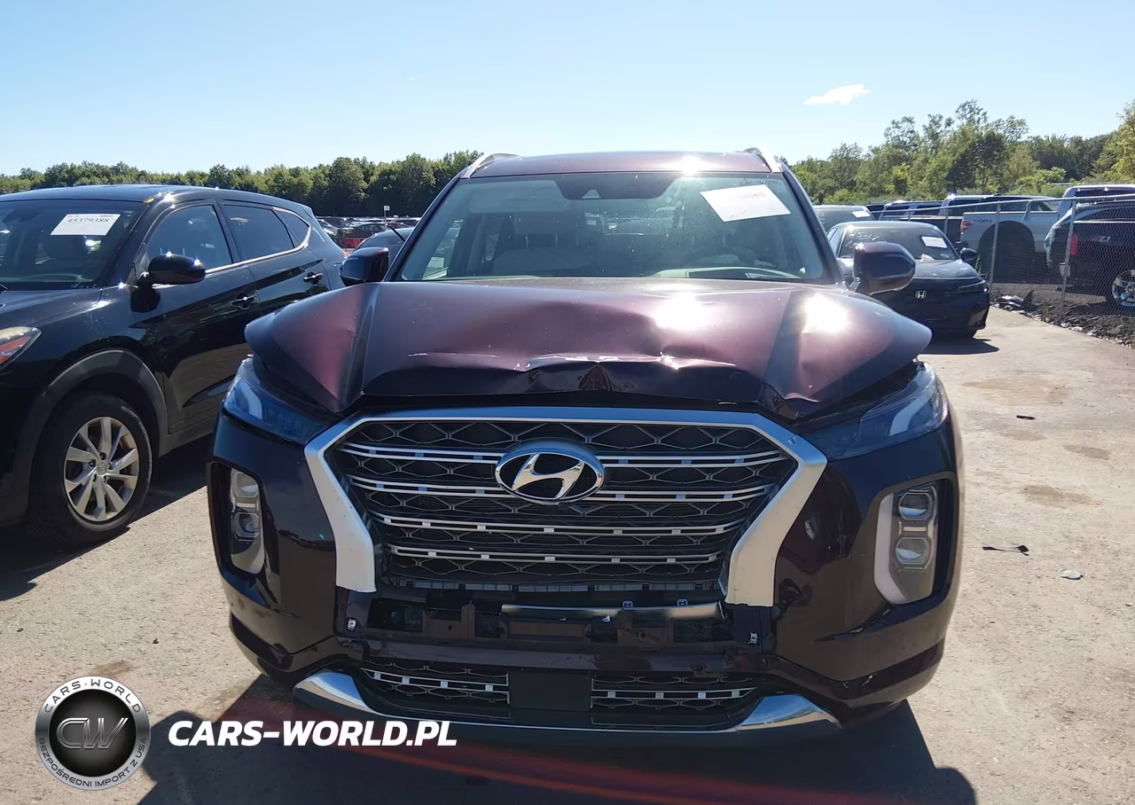 2020 Hyundai Palisade Limited VIN:KM8R5DHE5LU162750 - 6