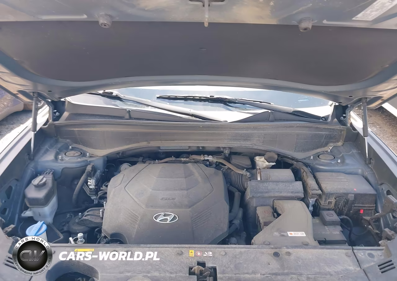 2020 Hyundai Palisade Sel VIN:KM8R2DHE6LU065078 - 10