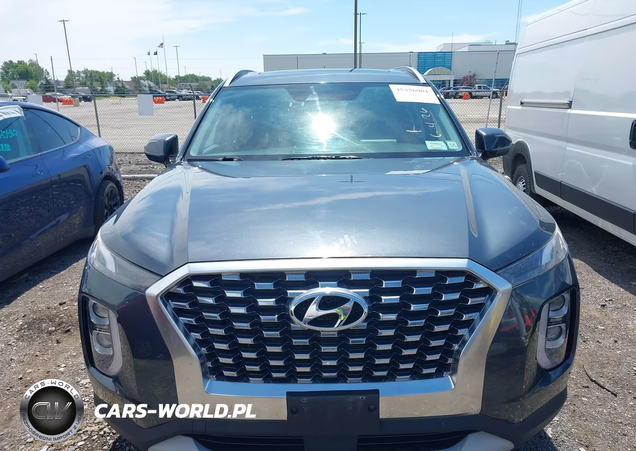 2020 Hyundai Palisade Sel VIN:KM8R2DHE6LU065078 - 12