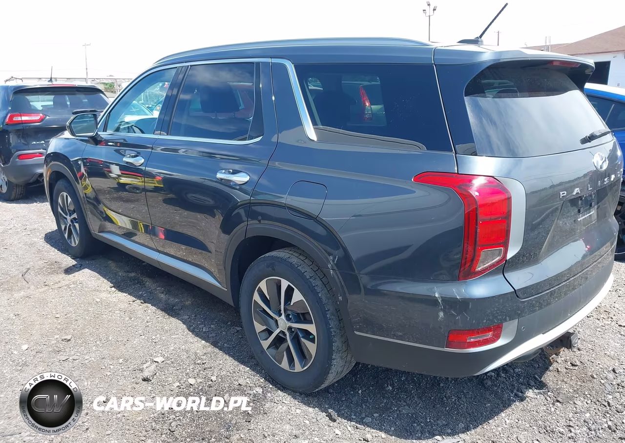 2020 Hyundai Palisade Sel VIN:KM8R2DHE6LU065078 - 3