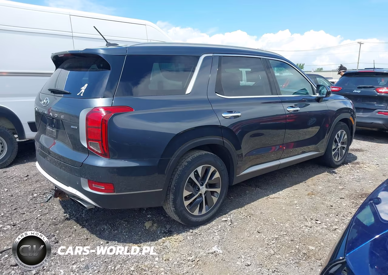 2020 Hyundai Palisade Sel VIN:KM8R2DHE6LU065078 - 4
