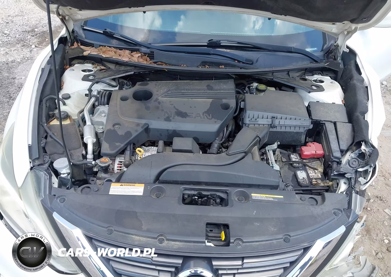 2016 Nissan Altima 2.5-2.5 S-2.5 Sl-2.5 Sr-2.5 Sv VIN:1N4AL3APXGC167134 - 10