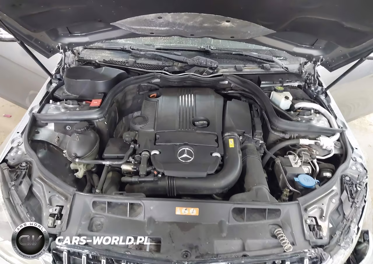 2012 Mercedes-Benz C 250 VIN:WDDGJ4HB9CF826751 - 10