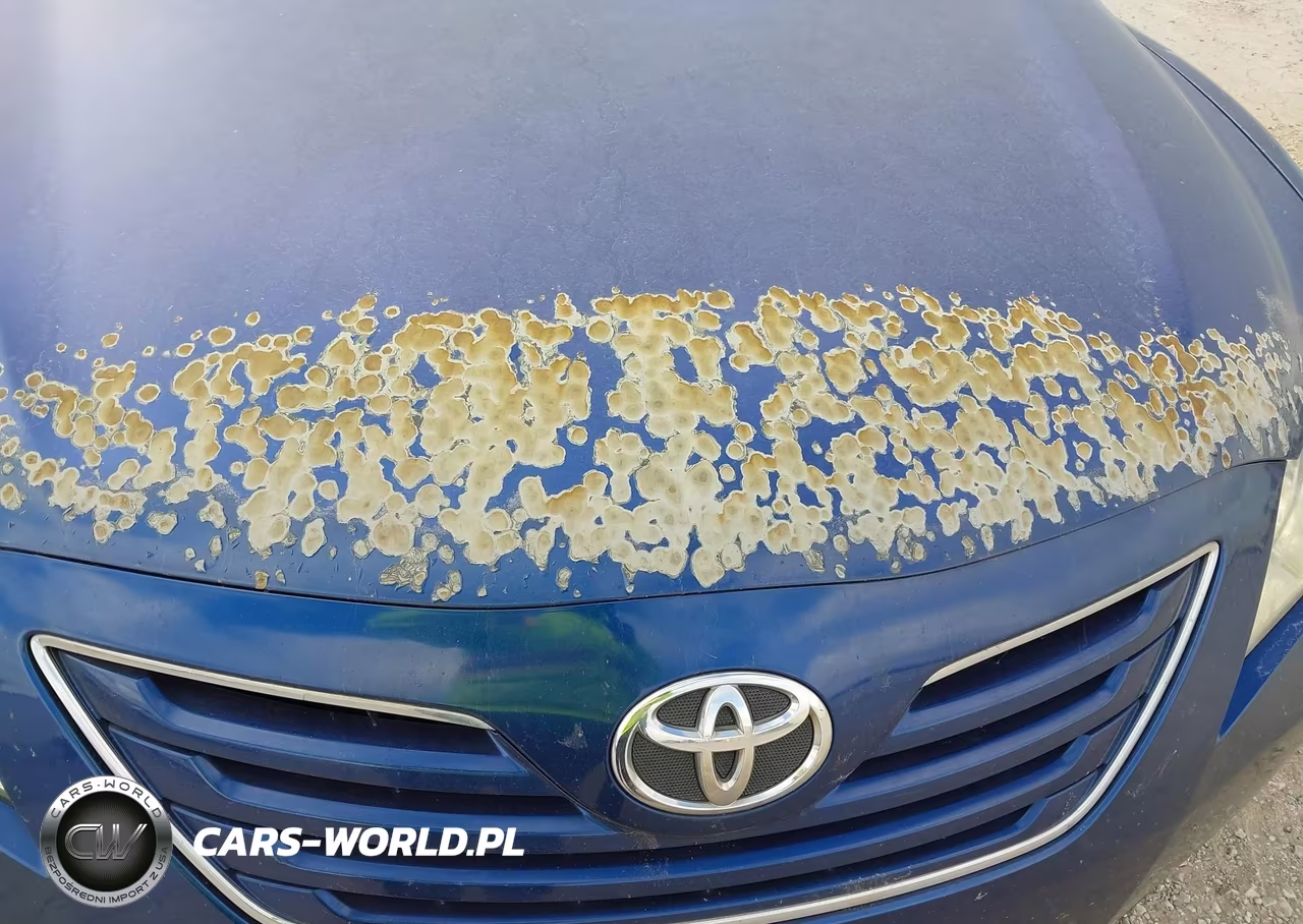 2009 Toyota Camry Xle VIN:4T4BE46K99R095398 - 12