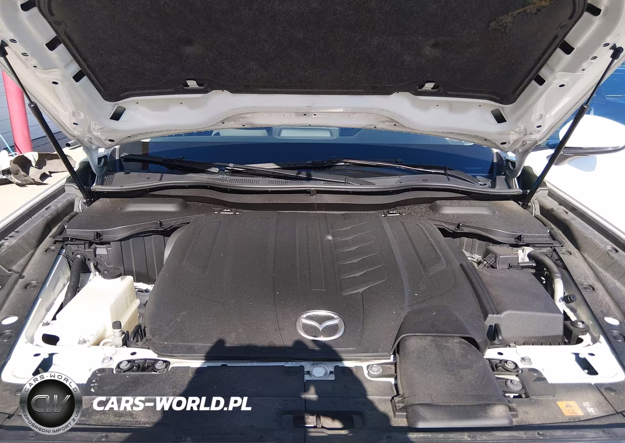 2024 Mazda Cx-90 3.3 Turbo Select VIN:JM3KKAHD1R1117505 - 10