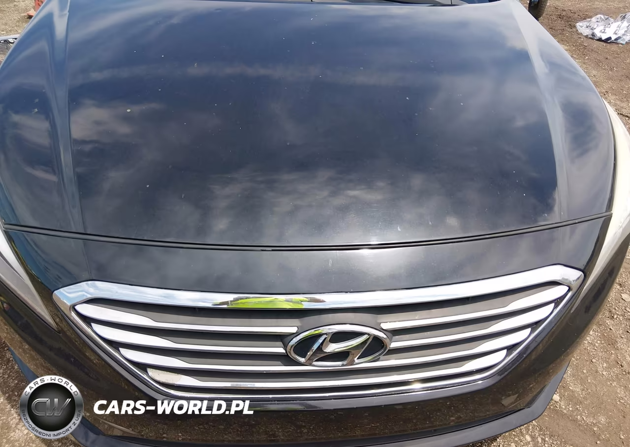 2017 Hyundai Sonata Se VIN:5NPE24AF4HH552609 - 12