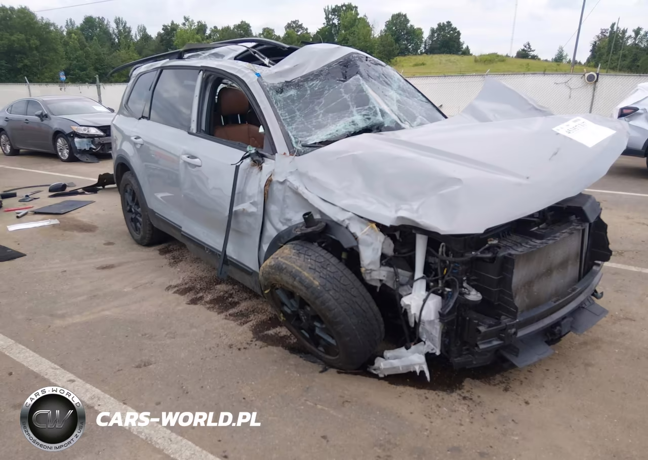 2024 Kia Telluride Sx Prestige X-Pro – zdjęcie 1 z 17
