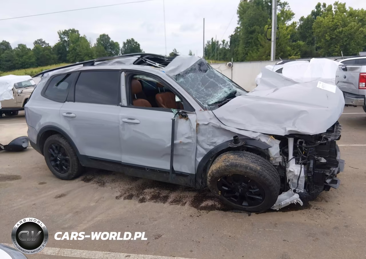 2024 Kia Telluride Sx Prestige X-Pro VIN:5XYP5DGC5RG458843 - 14