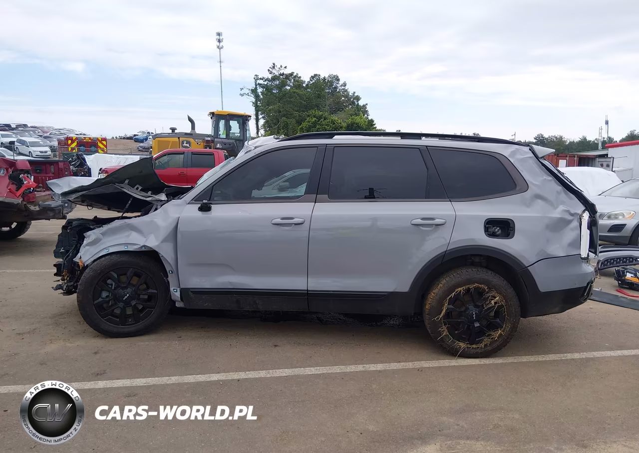 2024 Kia Telluride Sx Prestige X-Pro VIN:5XYP5DGC5RG458843 - 15