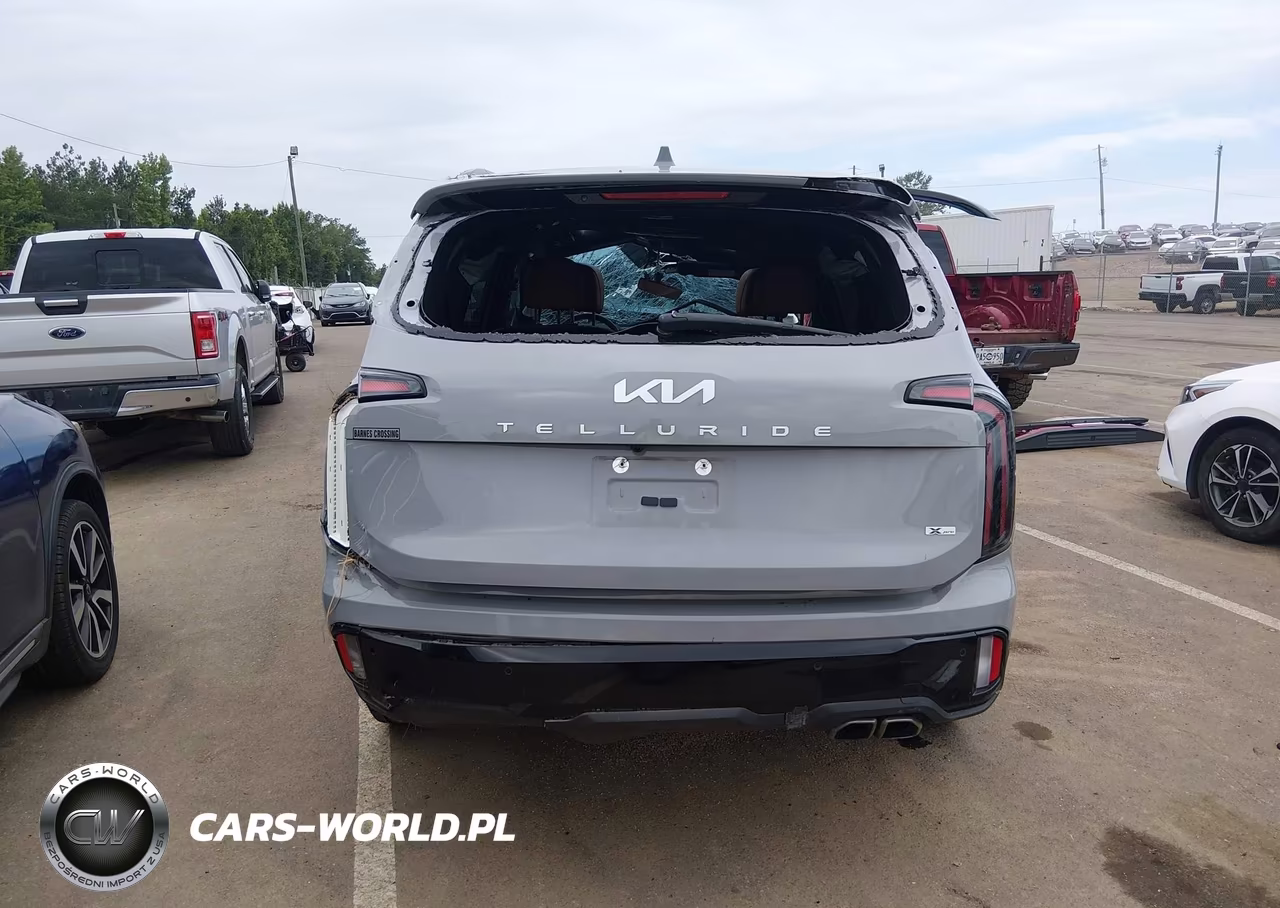 2024 Kia Telluride Sx Prestige X-Pro VIN:5XYP5DGC5RG458843 - 17
