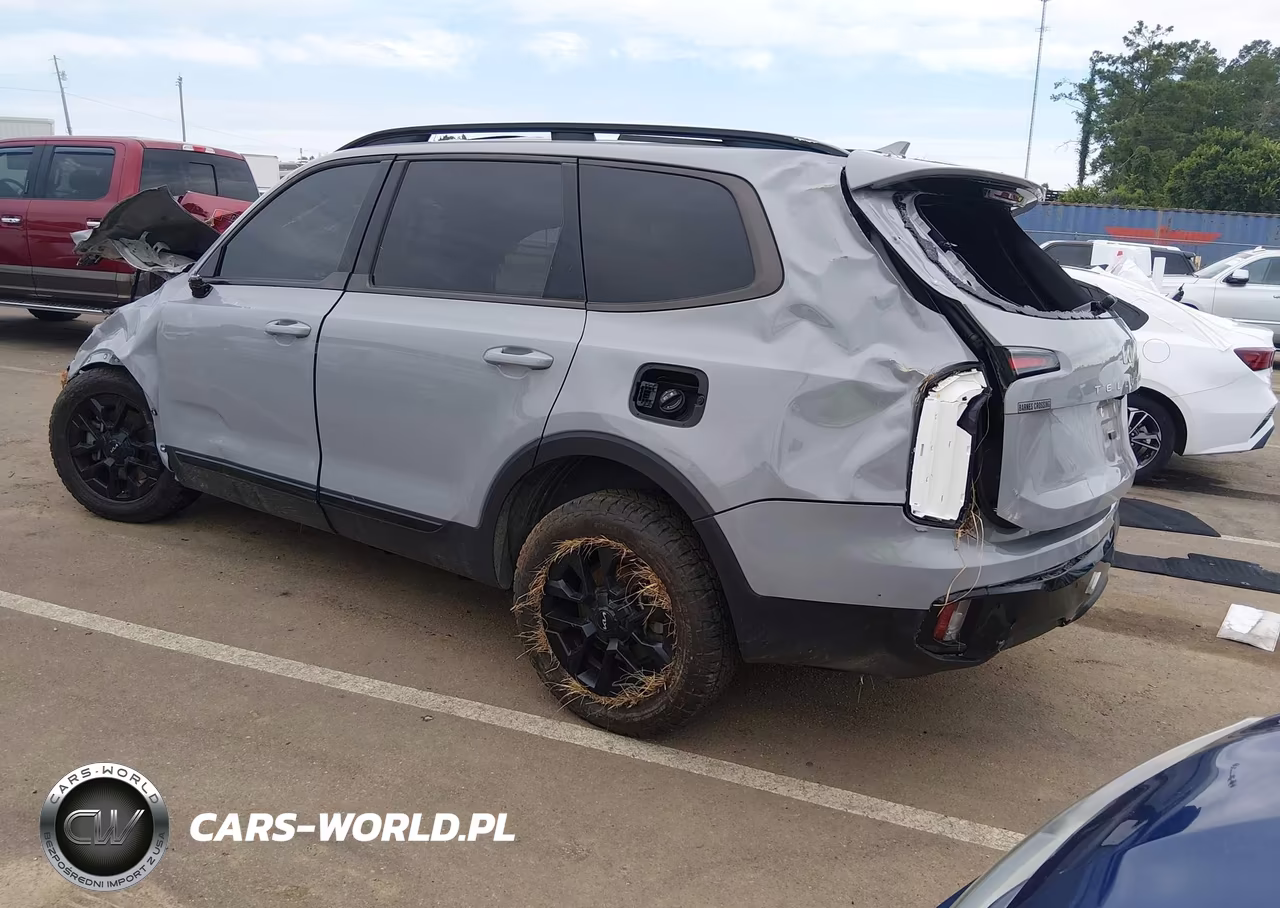2024 Kia Telluride Sx Prestige X-Pro VIN:5XYP5DGC5RG458843 - 3