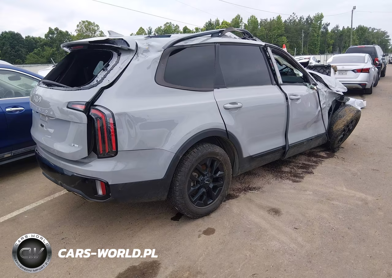 2024 Kia Telluride Sx Prestige X-Pro VIN:5XYP5DGC5RG458843 - 4