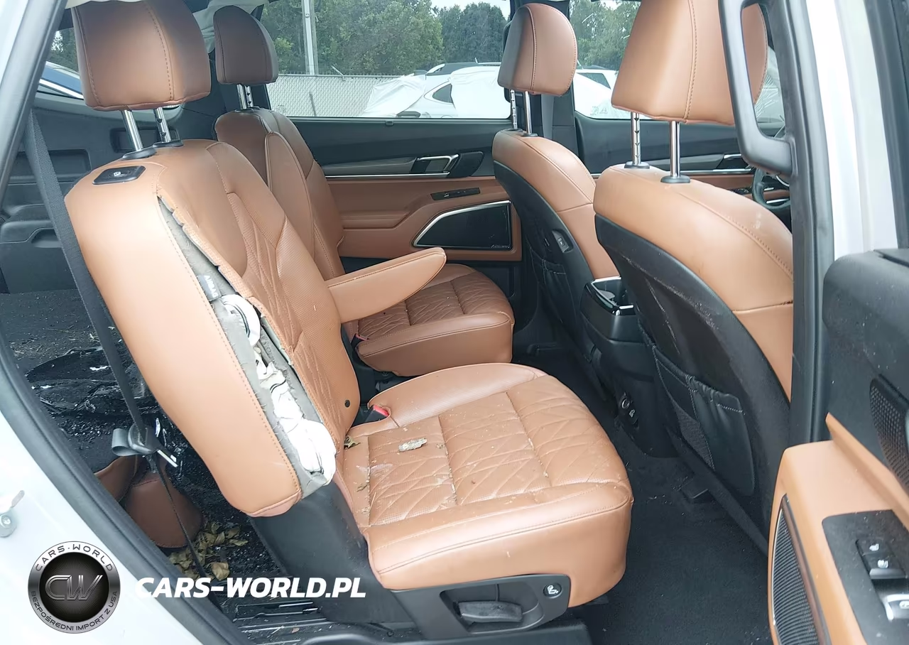 2024 Kia Telluride Sx Prestige X-Pro VIN:5XYP5DGC5RG458843 - 8