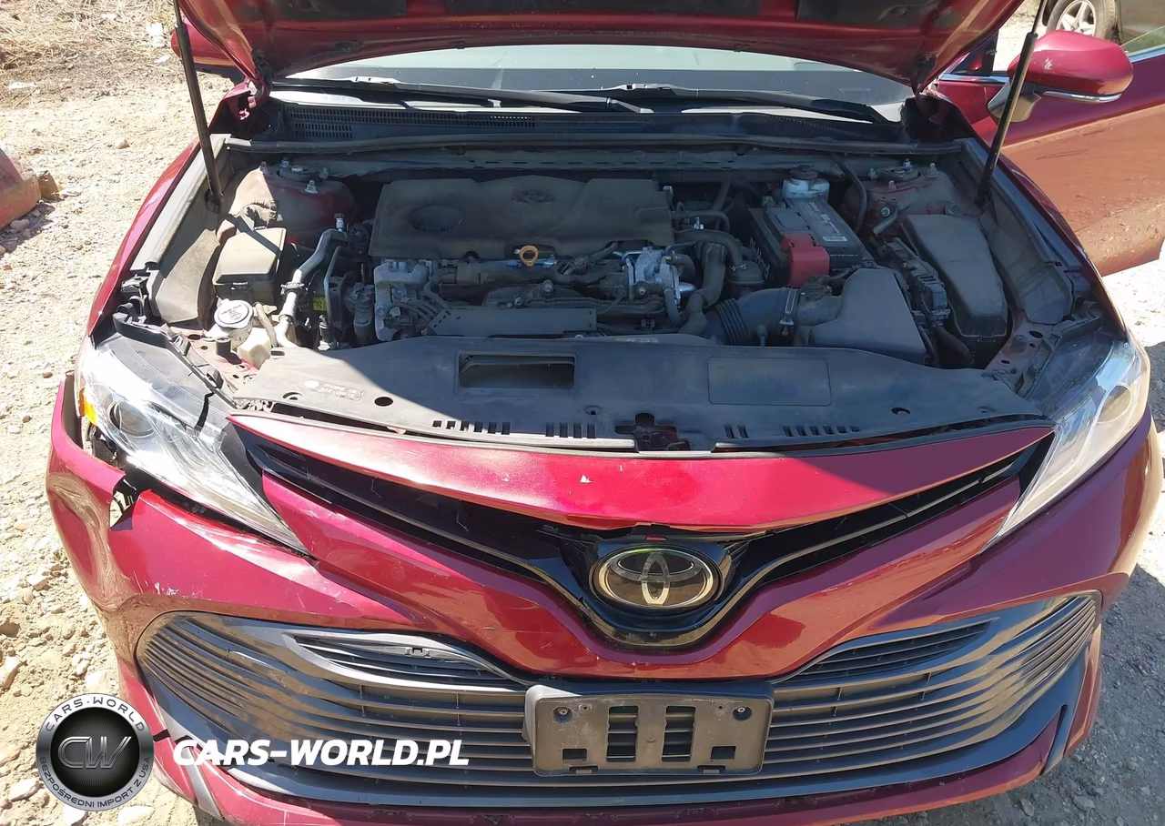 2019 Toyota Camry Xle VIN:4T1B11HK1KU293027 - 10