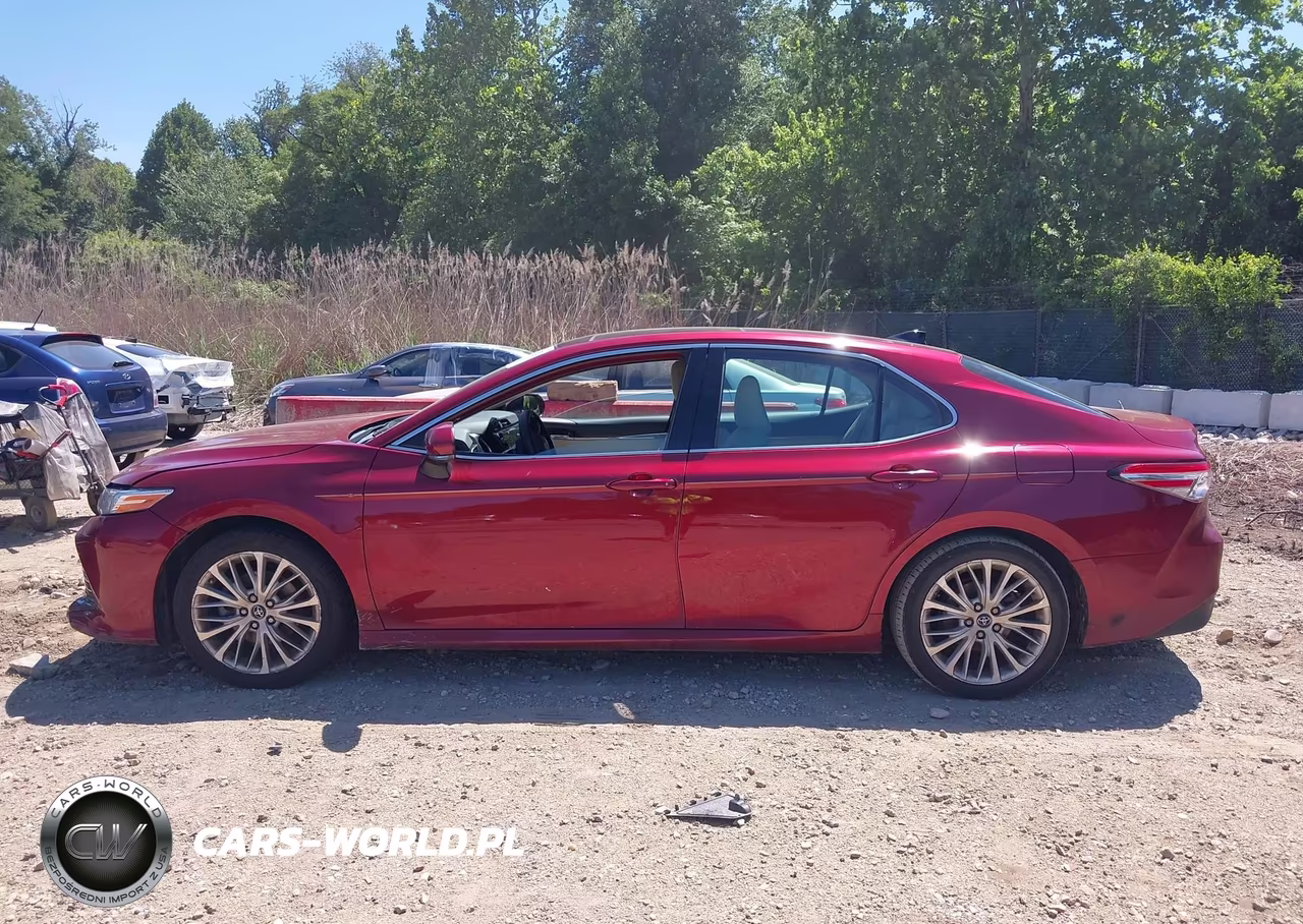 2019 Toyota Camry Xle VIN:4T1B11HK1KU293027 - 14