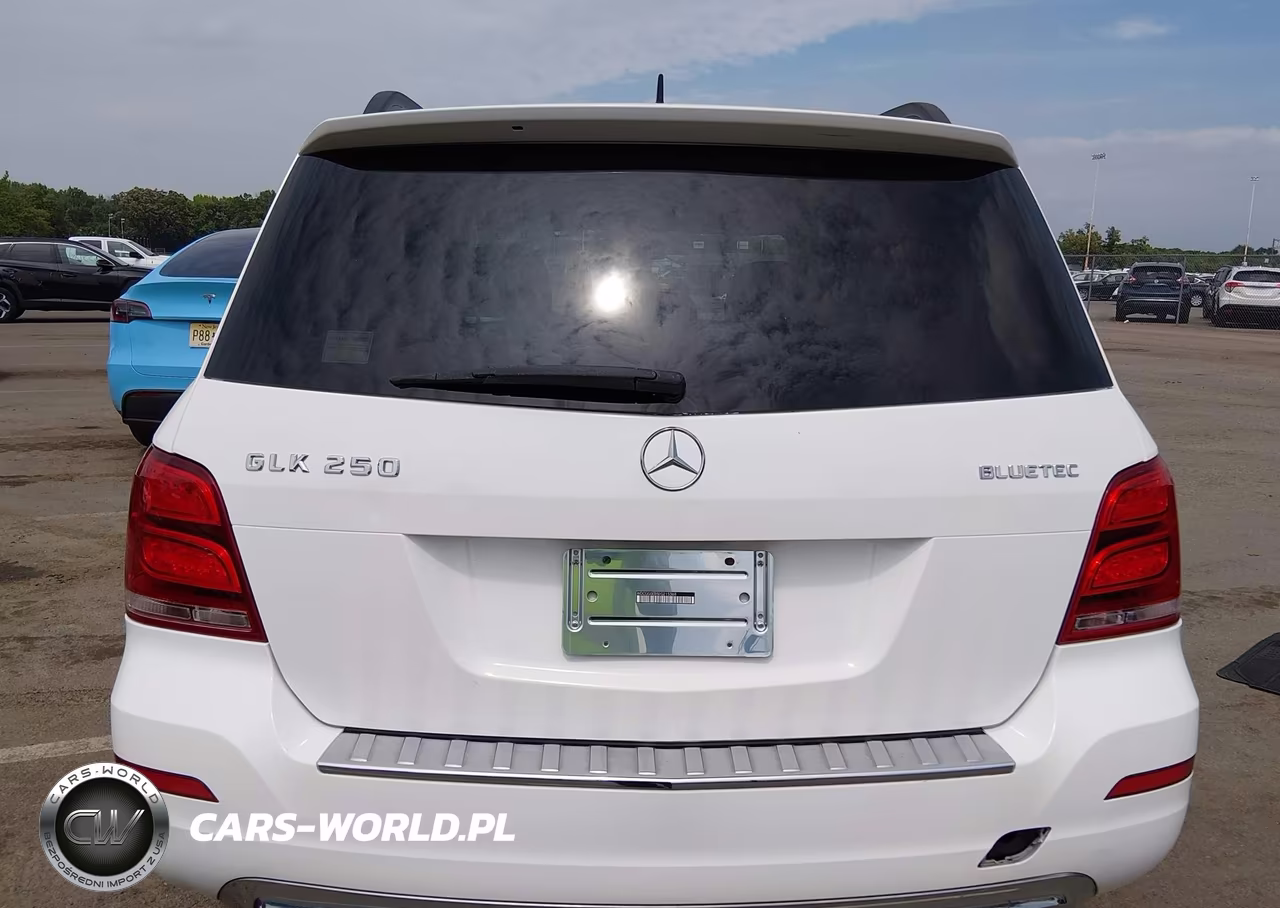 2014 Mercedes-Benz Glk 250 Bluetec VIN:WDCGG0EB5EG215368 - 16