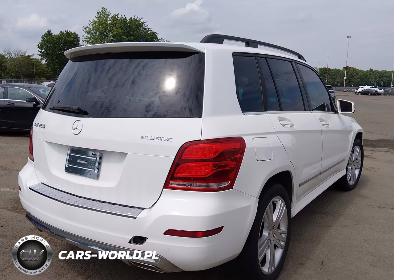 2014 Mercedes-Benz Glk 250 Bluetec VIN:WDCGG0EB5EG215368 - 4