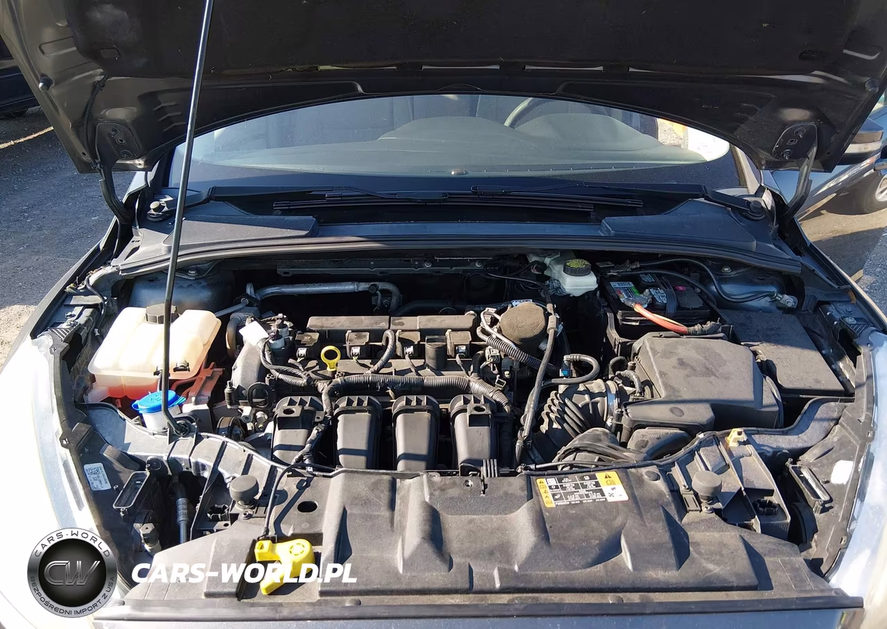 2017 Ford Focus Se VIN:1FADP3K23HL246988 - 10