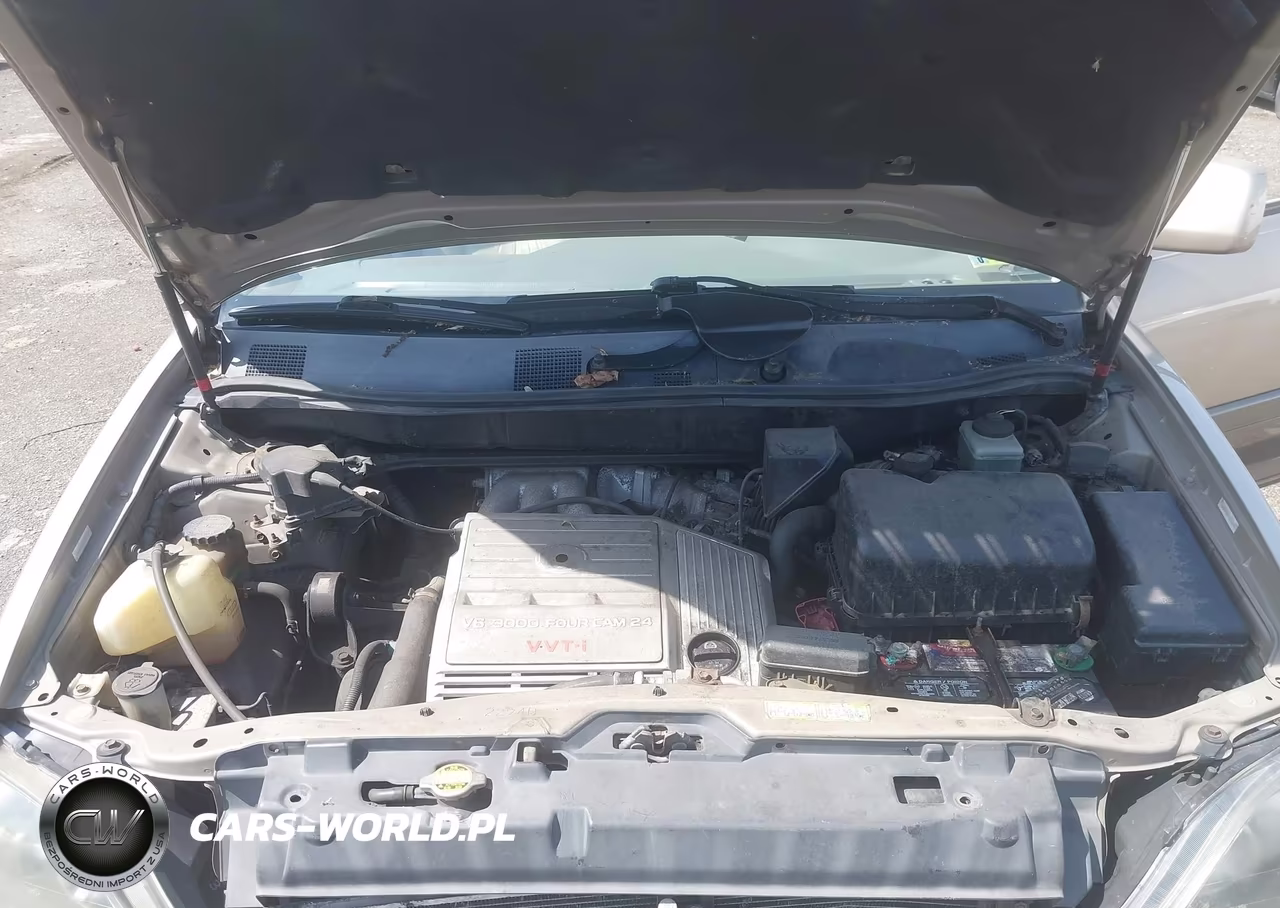 1999 Lexus Rx 300 VIN:JT6HF10U8X0034845 - 10
