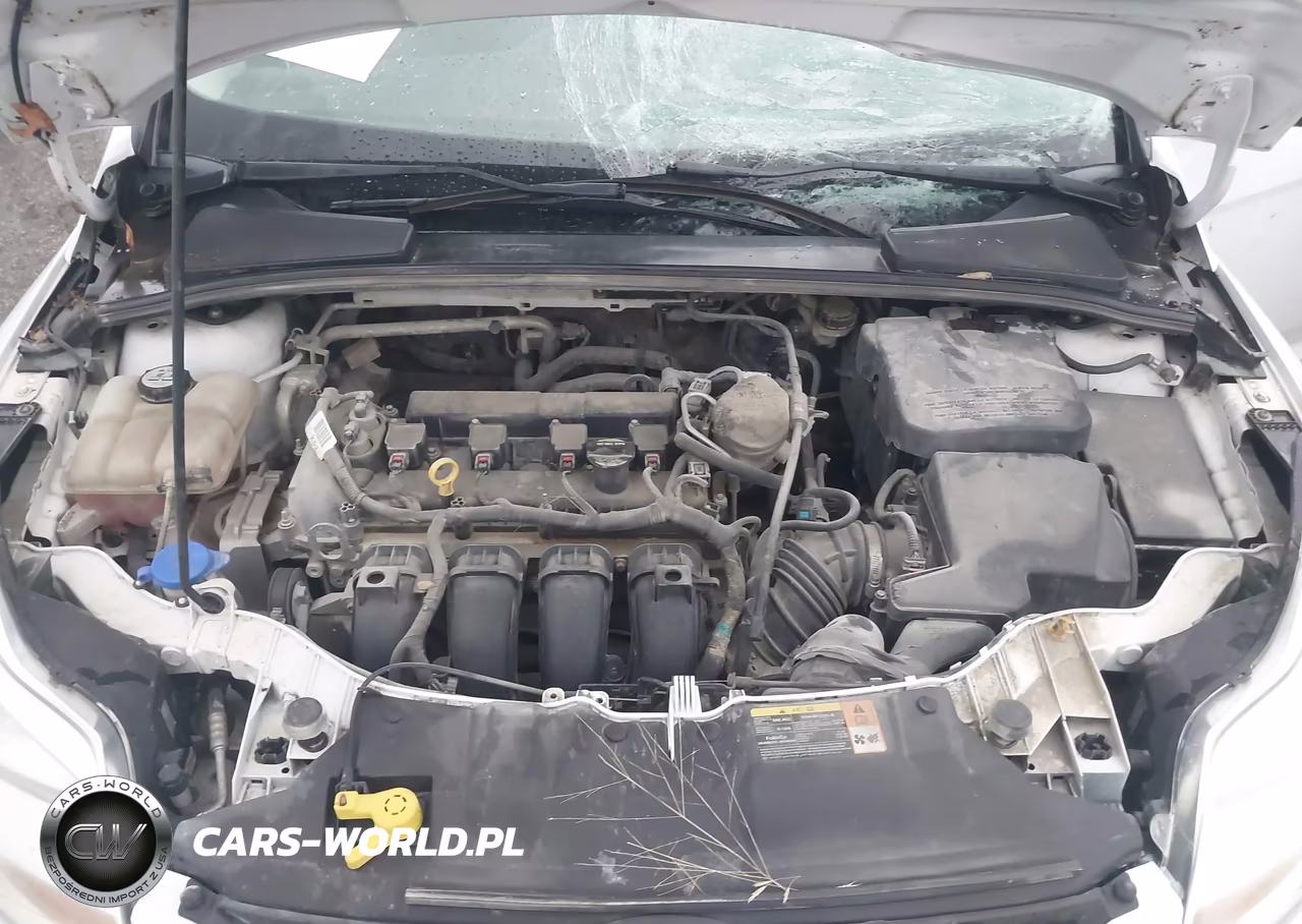 2013 Ford Focus Se VIN:1FADP3F28DL341972 - 10