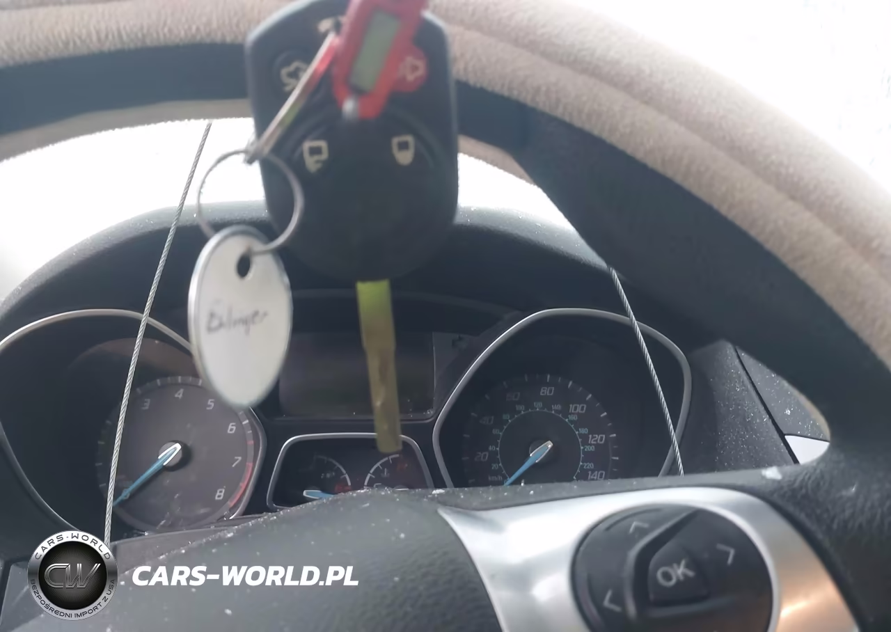 2013 Ford Focus Se VIN:1FADP3F28DL341972 - 11