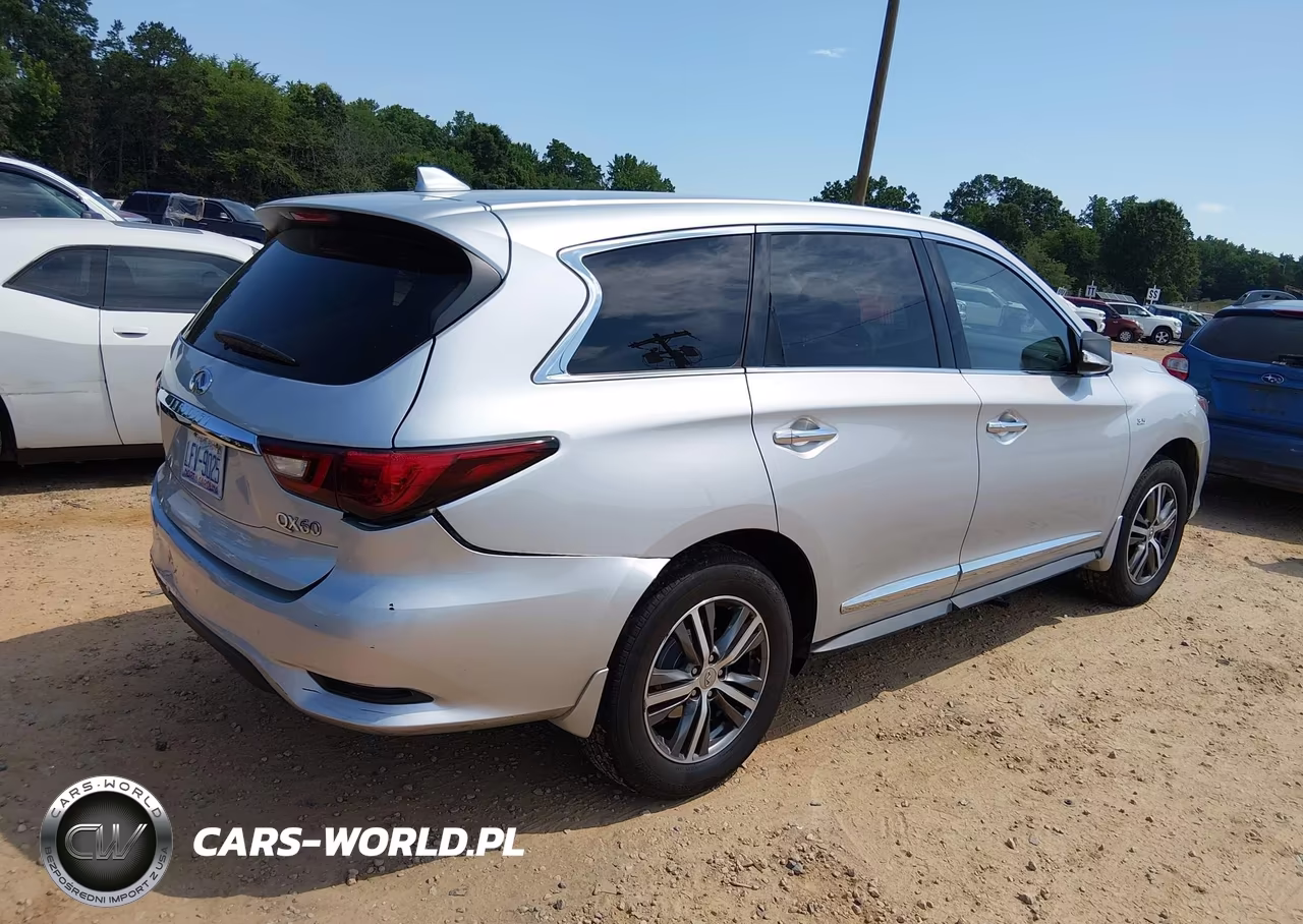 2020 Infiniti Qx60 Pure Awd VIN:5N1DL0MM3LC538941 - 4