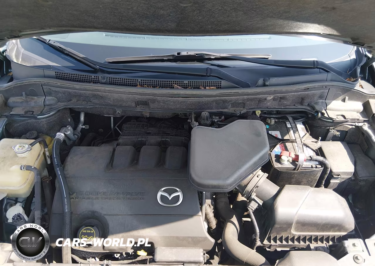 2010 Mazda Cx-9 Touring VIN:JM3TB3MVXA0223539 - 10