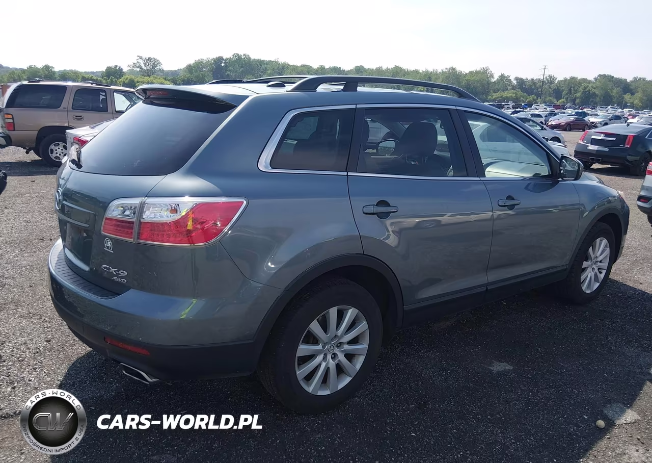 2010 Mazda Cx-9 Touring VIN:JM3TB3MVXA0223539 - 4