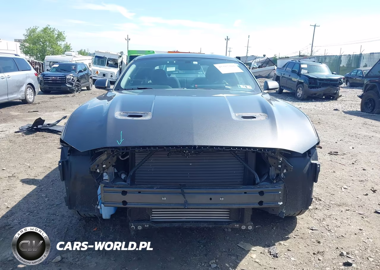 2020 Ford Mustang Ecoboost Fastback VIN:1FA6P8TH9L5149171 - 13
