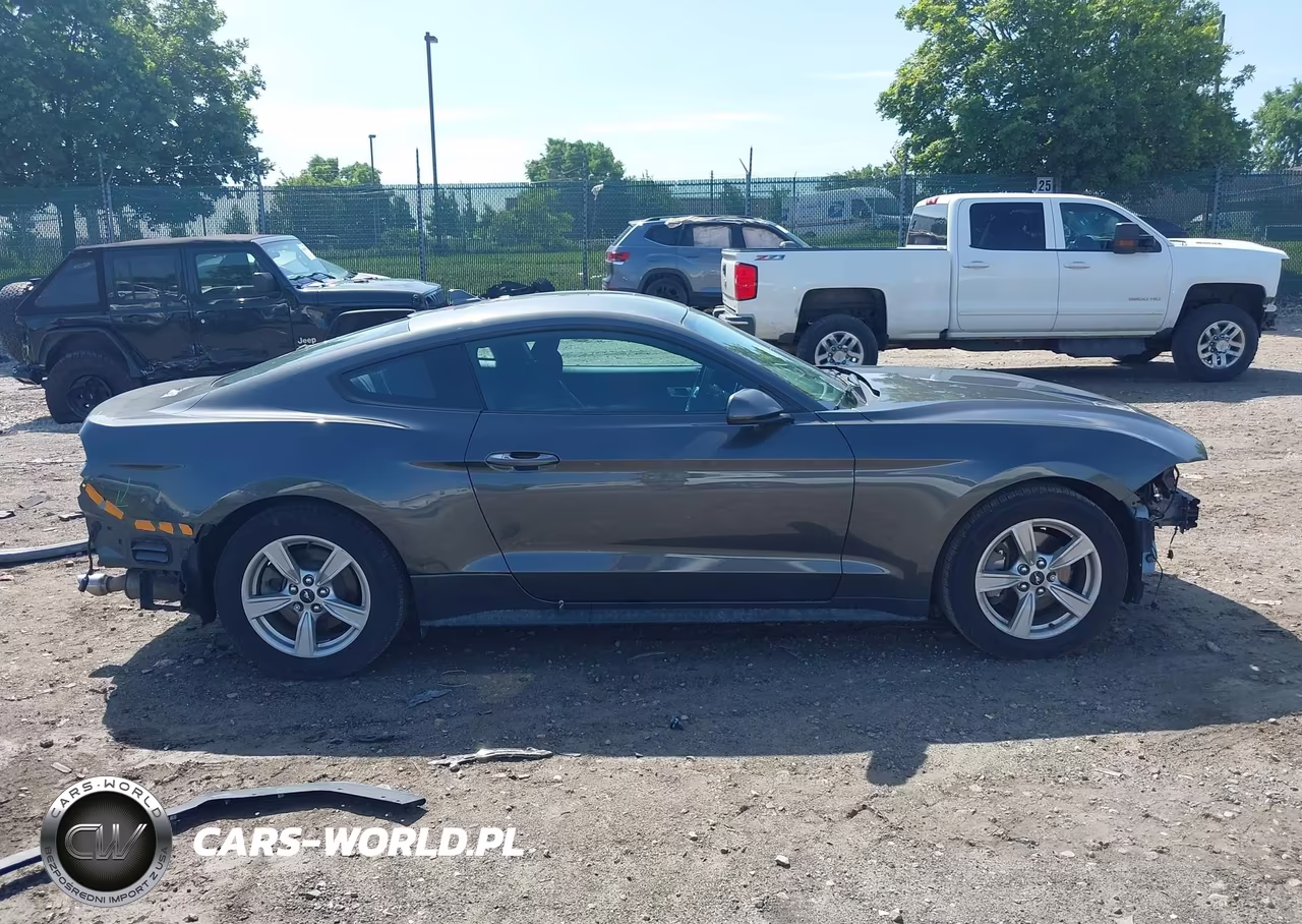 2020 Ford Mustang Ecoboost Fastback VIN:1FA6P8TH9L5149171 - 14