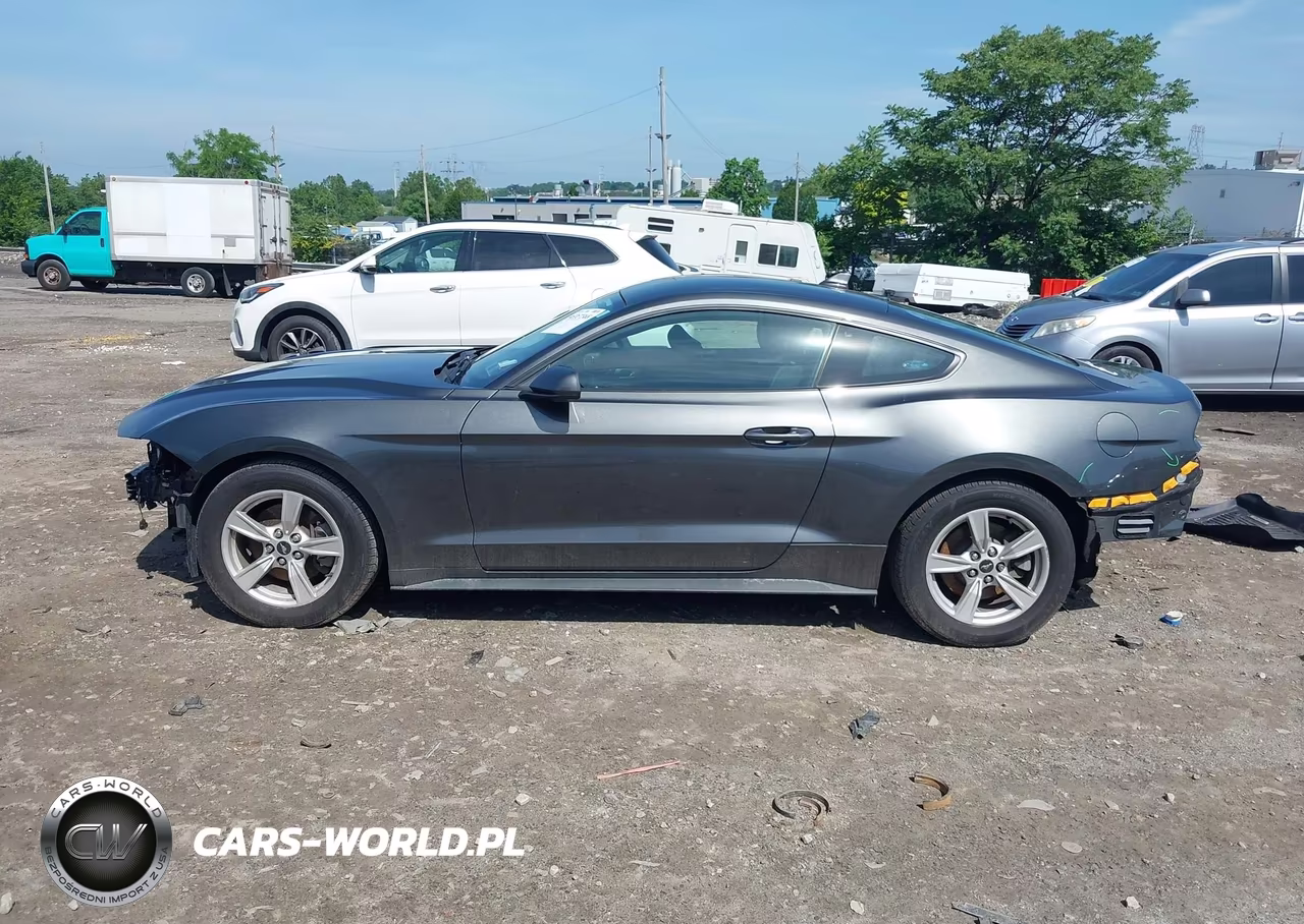 2020 Ford Mustang Ecoboost Fastback VIN:1FA6P8TH9L5149171 - 15