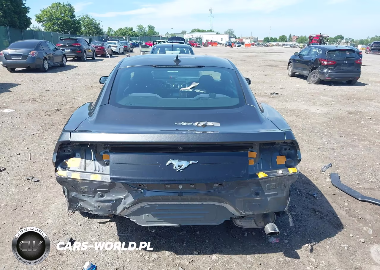 2020 Ford Mustang Ecoboost Fastback VIN:1FA6P8TH9L5149171 - 17