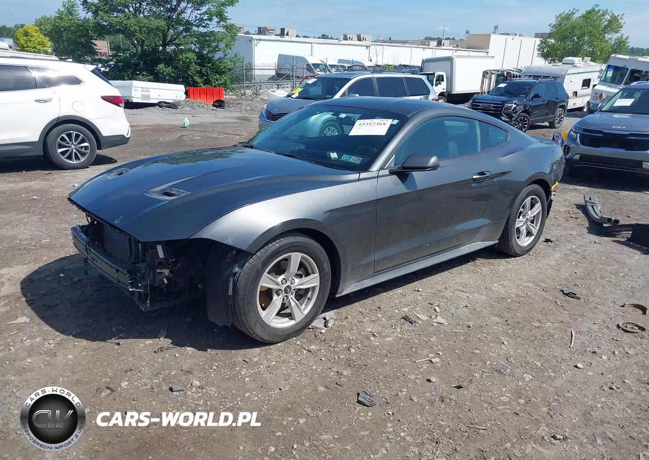 2020 Ford Mustang Ecoboost Fastback VIN:1FA6P8TH9L5149171 - 2
