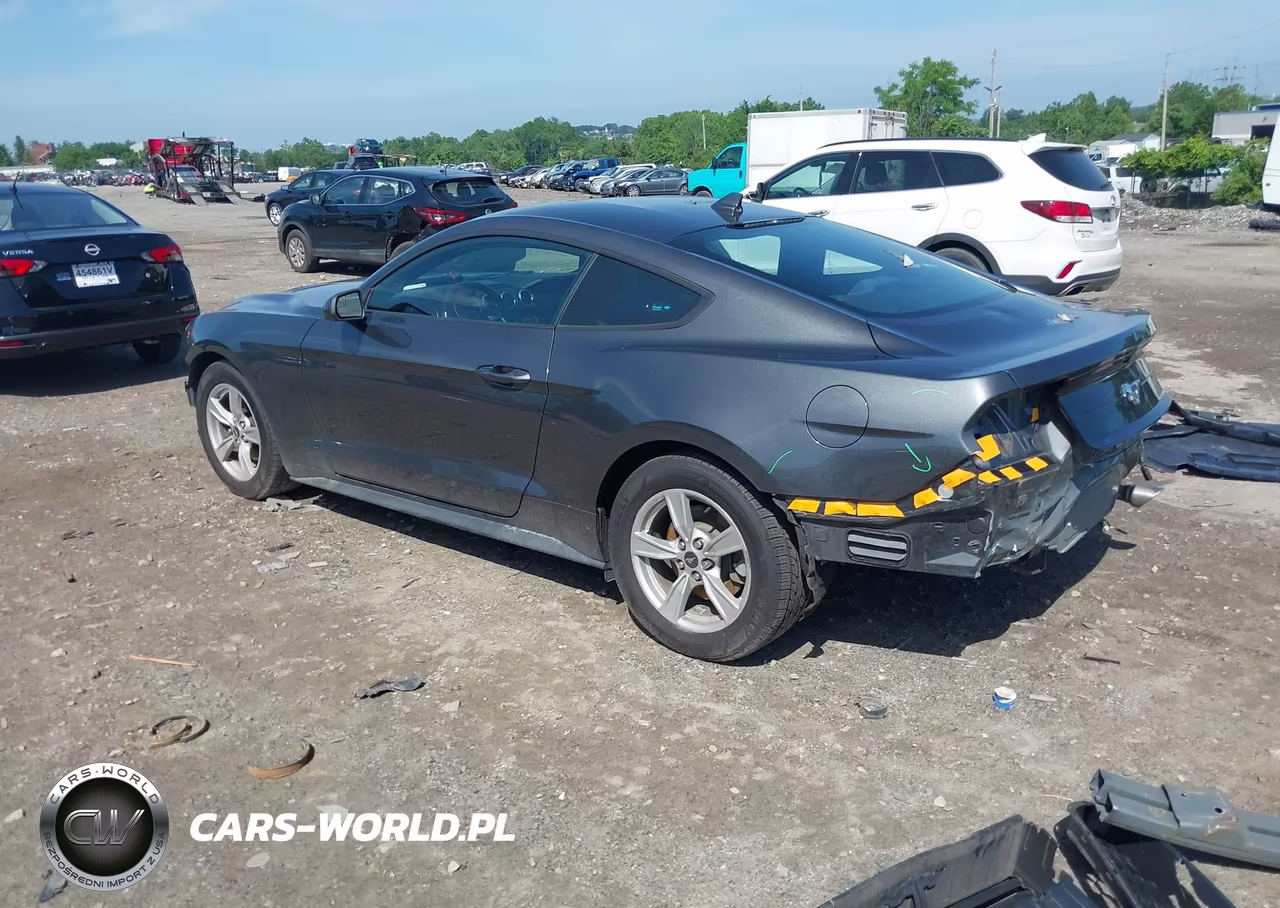 2020 Ford Mustang Ecoboost Fastback VIN:1FA6P8TH9L5149171 - 3