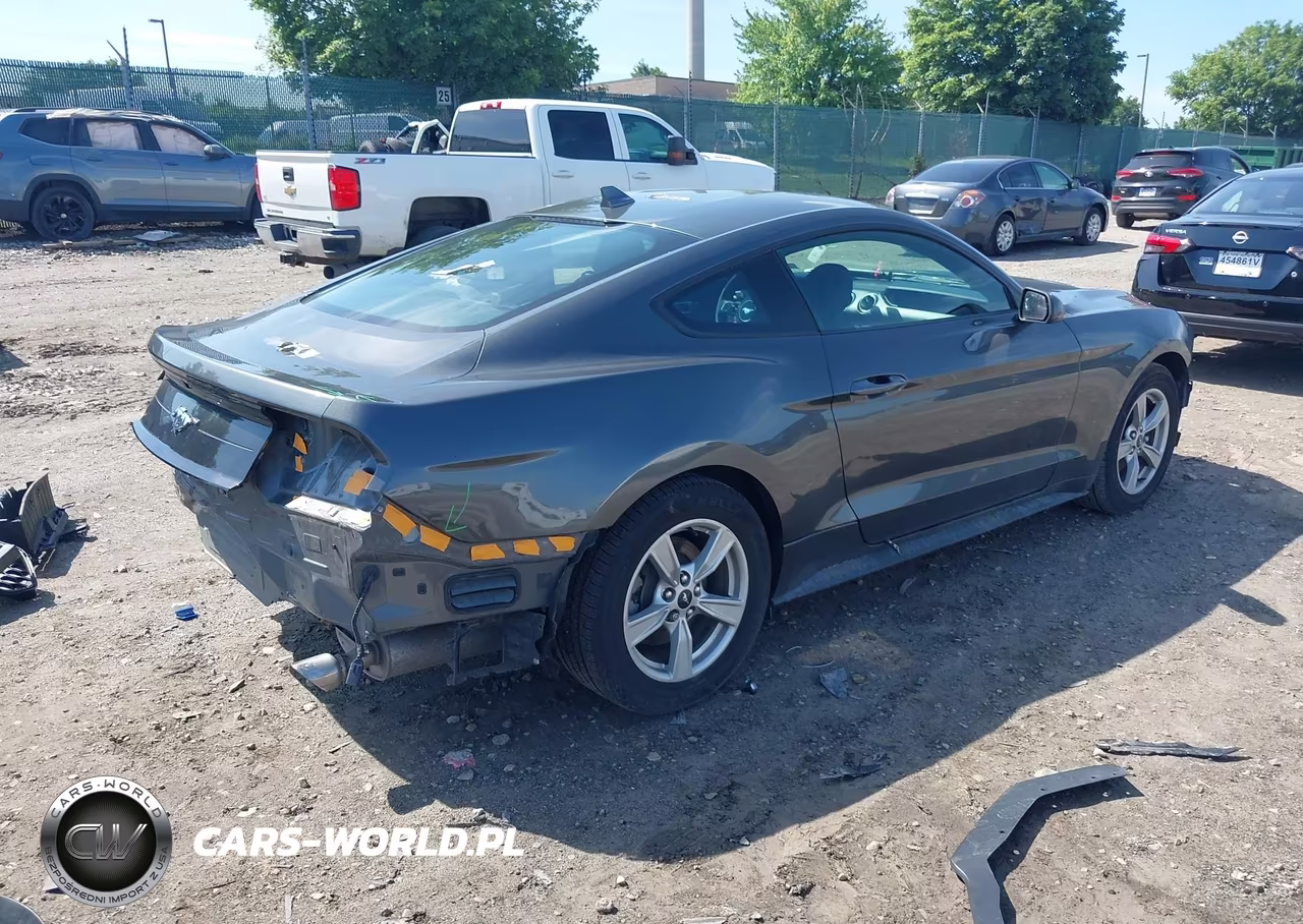 2020 Ford Mustang Ecoboost Fastback VIN:1FA6P8TH9L5149171 - 4