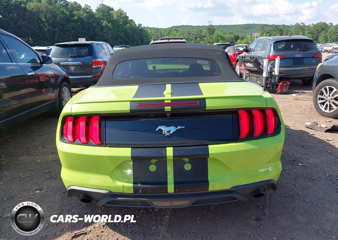 2020 Ford Mustang Ecoboost Premium VIN:1FATP8UH8L5125882 - 16