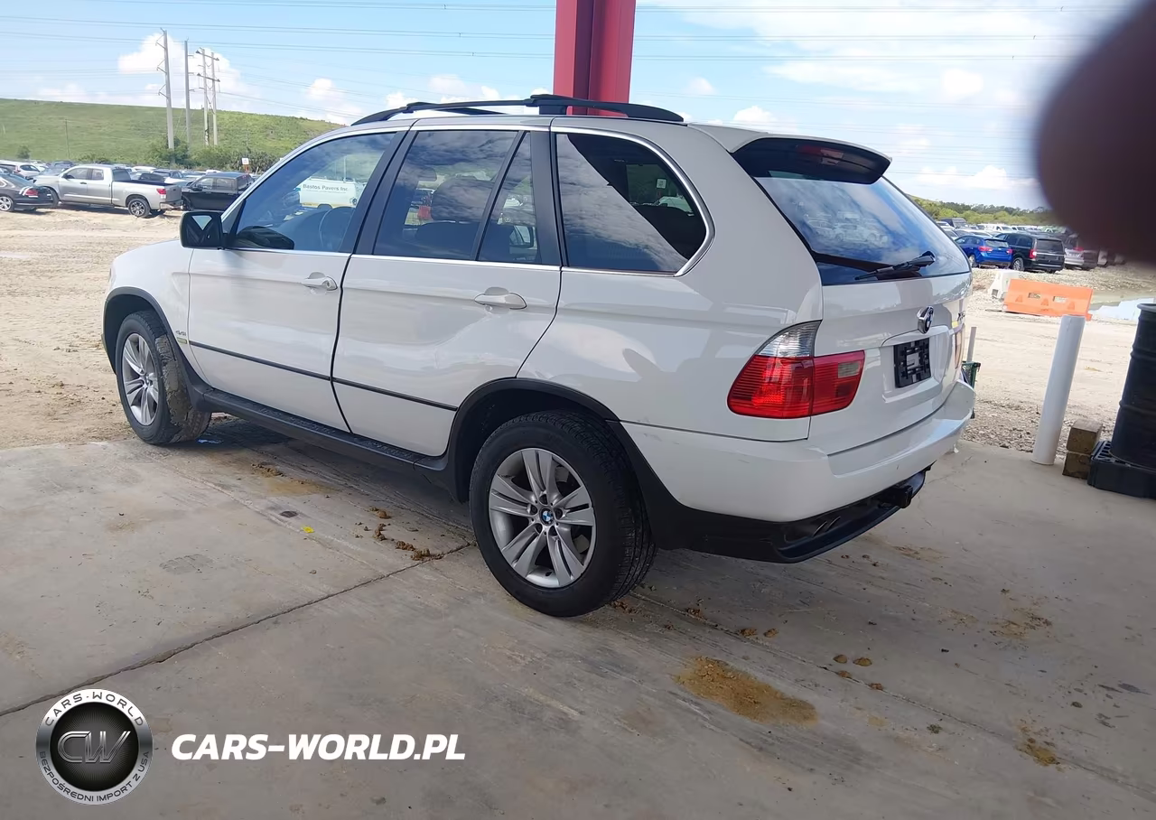 2006 BMW X5 4.4I VIN:5UXFB53536LV28839 - 3