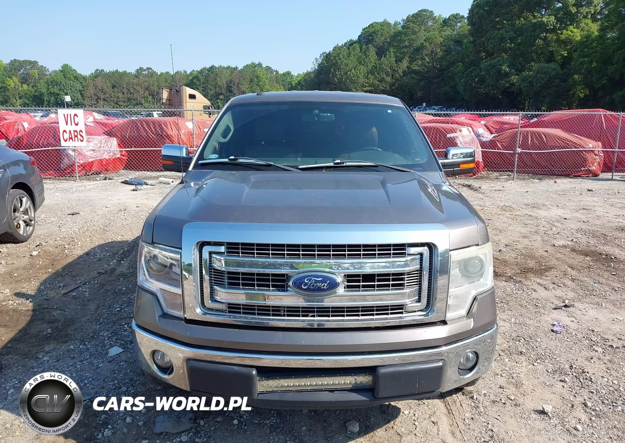 2014 Ford F-150 Xlt VIN:1FTFW1CF9EKD01182 - 12