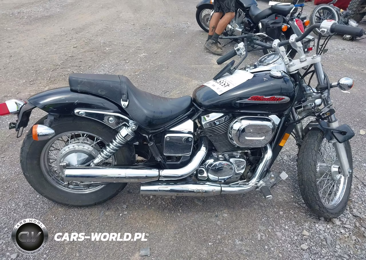 2002 Honda Vt750 Dc VIN:JH2RC44032M615015 - 12