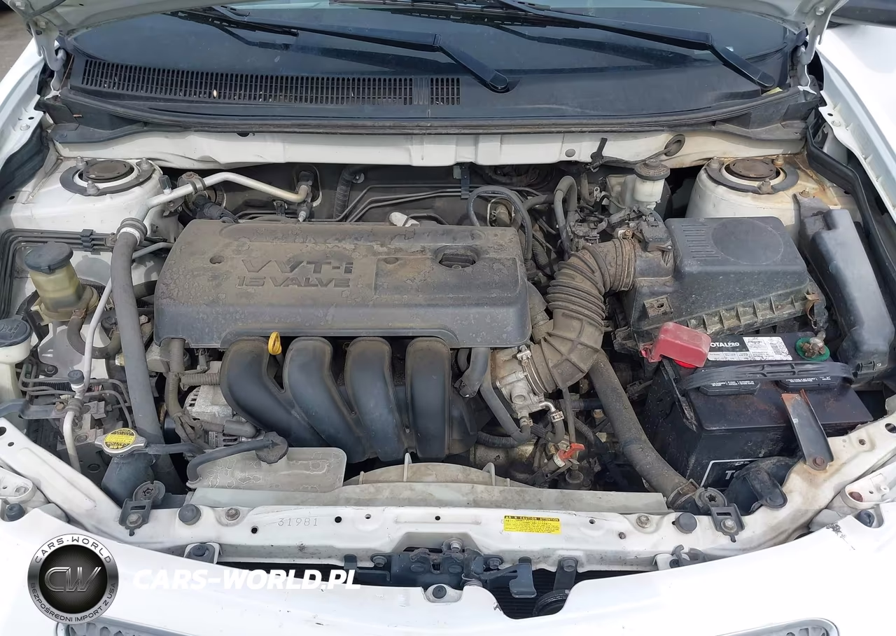 2006 Pontiac Vibe VIN:5Y2SL67876Z456550 - 10