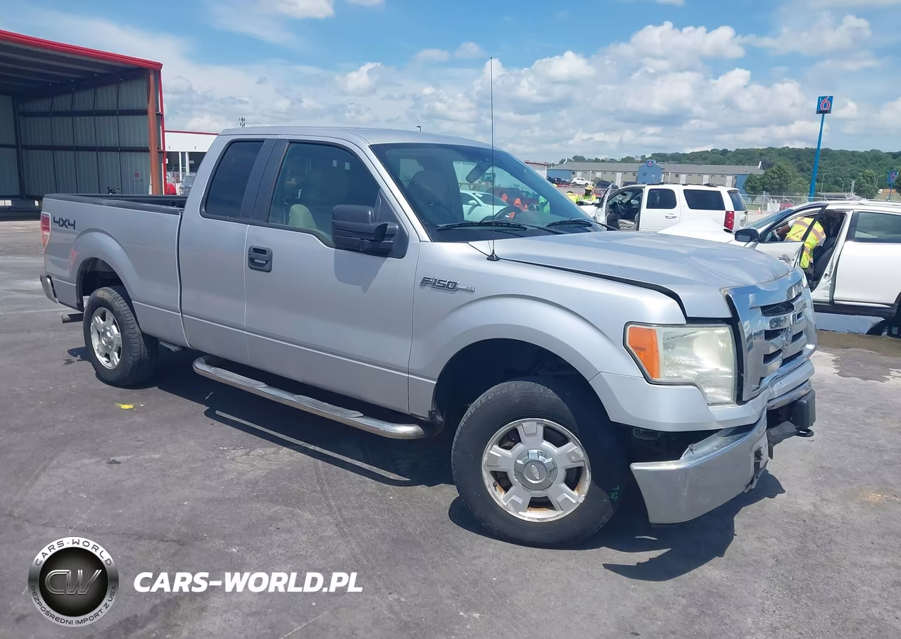 2010 Ford F-150 Stx-Xl-Xlt – zdjęcie 1 z 17