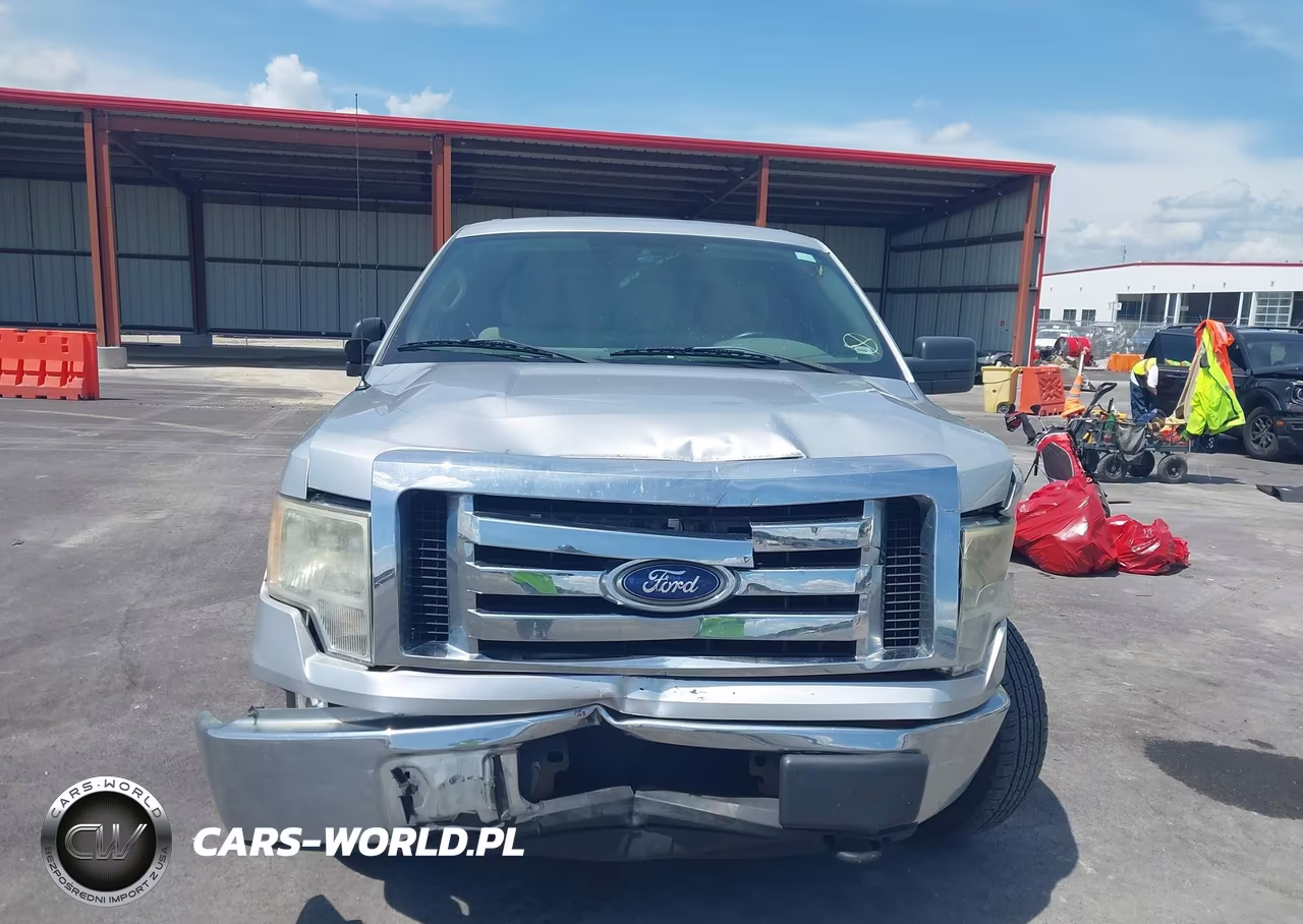 2010 Ford F-150 Stx-Xl-Xlt VIN:1FTEX1E89AFC36781 - 12