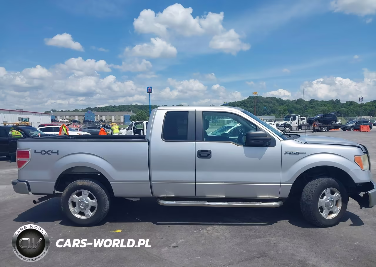 2010 Ford F-150 Stx-Xl-Xlt VIN:1FTEX1E89AFC36781 - 13