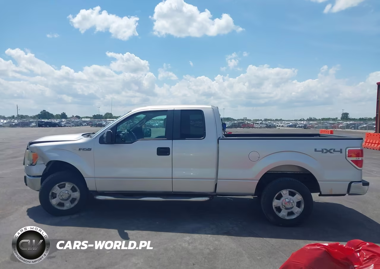2010 Ford F-150 Stx-Xl-Xlt VIN:1FTEX1E89AFC36781 - 14
